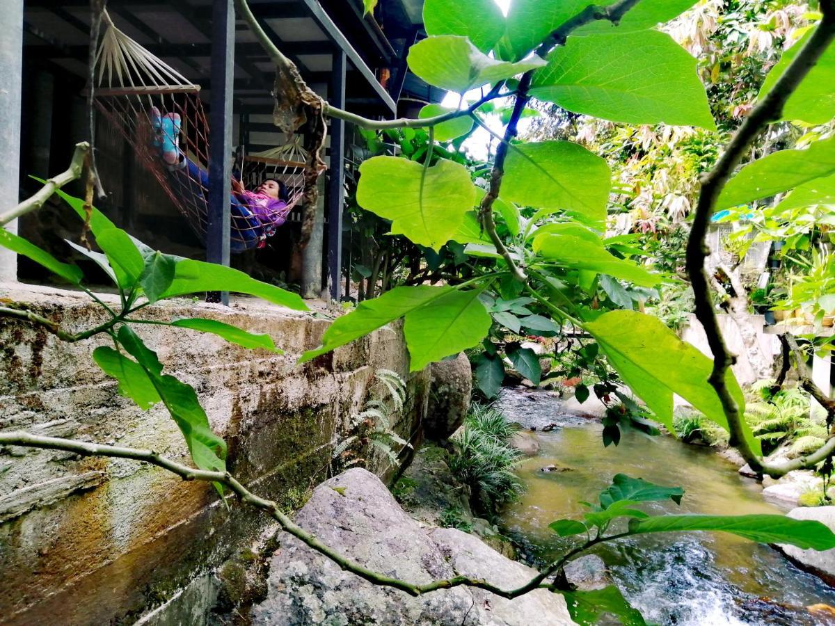 แม่อุ๊ยโฮมสเตย์&Mae Uai Homestay Ban Pok Nai Dış mekan fotoğraf